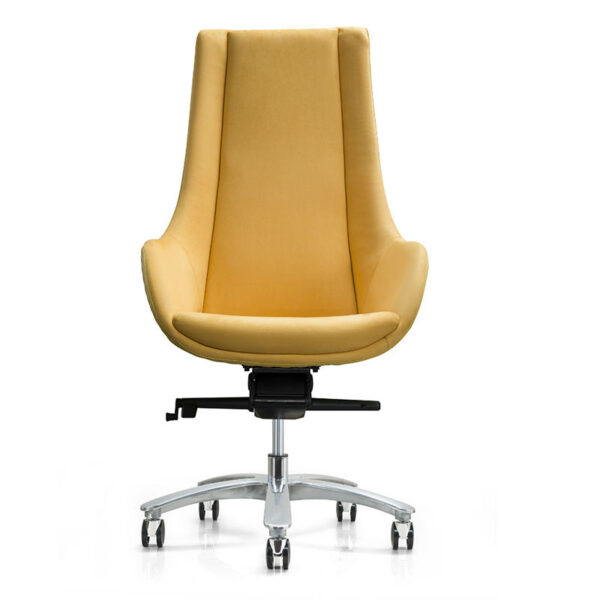 leisure chair